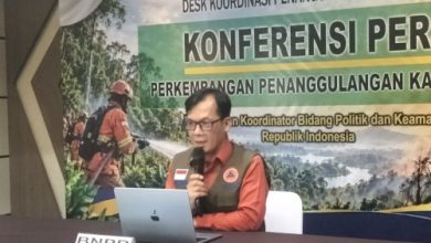 Berton SP Panjaitan, Kepala Pusdatin Komunikasi Kebencanaan BNPB. Foto Antara