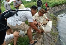 Kapolres Serang, AKBP Condro Sasongko menebar bibit ikan di Danau Puspemkab Serang. Foto: Yono