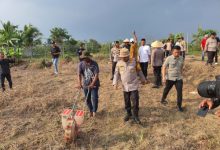 Kapolres Serang, AKBP Condro Sasongko menanam bibi jagung. Foto: Yono