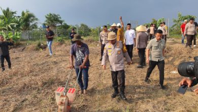 Kapolres Serang, AKBP Condro Sasongko menanam bibi jagung. Foto: Yono