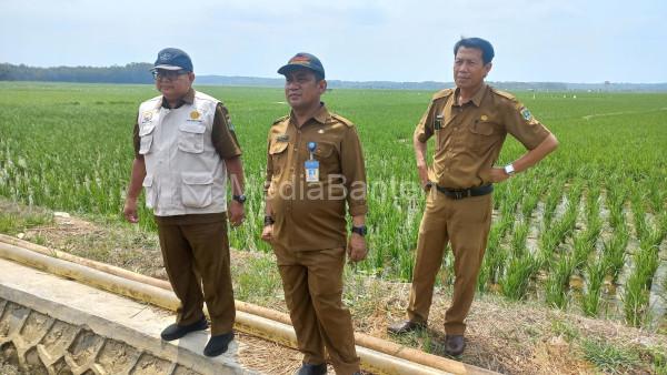 Saiful Bahri Maimun, Kabid Pengendalian Bencana Distan dan tim tinjau kekeringan. Foto: Biro Adpim Banten