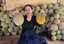 Buah Durian Baduy yang diserbu wisatawan. Foto istimewa