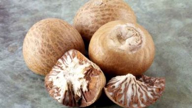 Buah Pinang. Foto: Alodokter