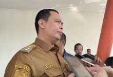 Budi Rustandi, Wali Kota Serang. Foto Antara