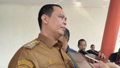 Budi Rustandi, Wali Kota Serang. Foto Antara