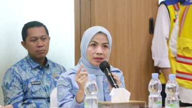 Bupati Serang, Ratu Rachmatuzakiyah. Foto Antara