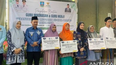 Bupati Serang, Ratu Rachmatu Zakiyah dan Wabup Serang, Najib Hamas. Foto: Antara