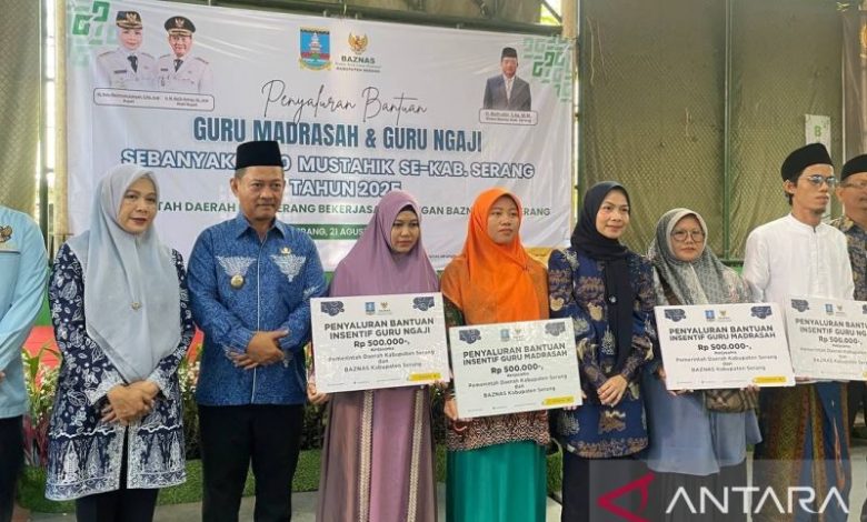 Bupati Serang, Ratu Rachmatu Zakiyah dan Wabup Serang, Najib Hamas. Foto: Antara