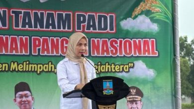 Bupatu Serang, Ratu Rachmatuzakiyah. Foto: Antara