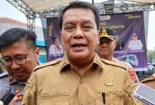 Moch Maesyal Rasyid, Bupati Tangerang. Foto: Antara