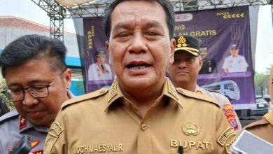 Moch Maesyal Rasyid, Bupati Tangerang. Foto: Antara