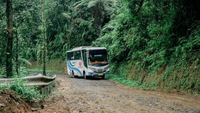 Pelayanan bus Damri di pelosok daerah, terutama di daerah 3TP. Foto Istimewa