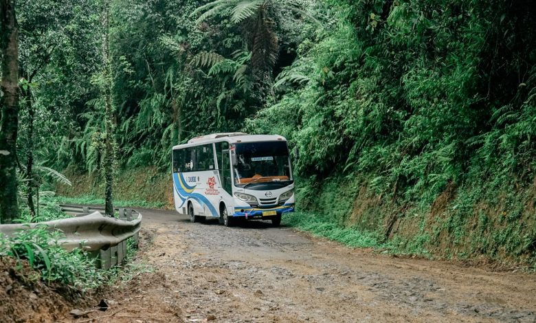 Pelayanan bus Damri di pelosok daerah, terutama di daerah 3TP. Foto Istimewa