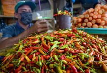 Harga cabai rawit merah dan harga bawang merah terus naik. Foto: Istimewa
