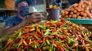 Harga cabai rawit merah dan harga bawang merah terus naik. Foto: Istimewa