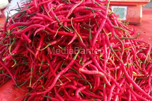 Cabai Merah Keriting. Foto Antara