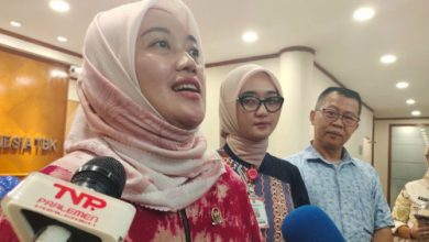 Wakil Ketua Komisi VII DPR RI, Chusnunia Chalim. Foto Antara