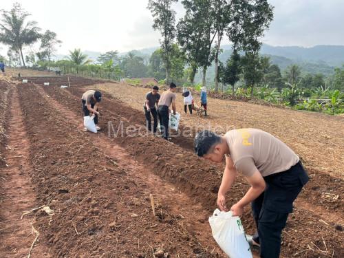 Lahan di Jawa Barat yang siap ditanami jagung dan ubi ungu. Foto Yono