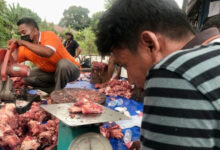 Daging hewan kurban sapi dan kambing dai Muhammdiyah di Malaysia. Foto: LKBN Antara