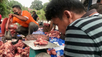 Daging hewan kurban sapi dan kambing dai Muhammdiyah di Malaysia. Foto: LKBN Antara