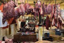 Daging sapi murni. Foto: Antara