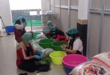 Salah satu dapur SPPG di Kabupaten Lebak. Foto: Antara