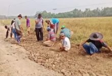 Warga Desa Idaman, Kabupaten Pandeglang memperbaiki jalan rusak parah tanpa bantuan pemerintah. foto Daeng Yusvin