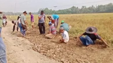 Warga Desa Idaman, Kabupaten Pandeglang memperbaiki jalan rusak parah tanpa bantuan pemerintah. foto Daeng Yusvin