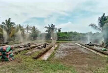 Di bawah desingan peluru, para calon Pasukan Khusus Korps Marinir berlatih tempur.