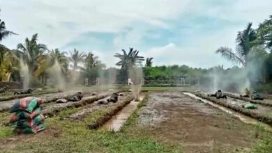 Di bawah desingan peluru, para calon Pasukan Khusus Korps Marinir berlatih tempur.