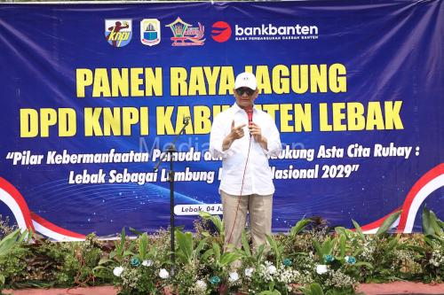 Wagub Banten, Achmad Dimyati Natakusumah pada panen raya jagung oleh KNP di Lebak. Foto Biro Adpim Banten