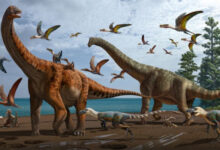 Dinosaurus patuh pada hukum evolusi. Foto: Google