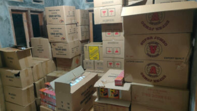 Petasan dan Kembang Api dalam dus yang disita Polres Pandeglang. Foto: Yono