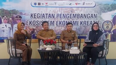 Disparbud Pandeglang gelar sosialisasi hak cipta dan kekayaan intelektual. Foto NS Amdan