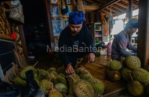 Durian Baduy. Foto: Antara