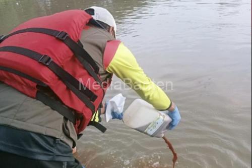 Pejabat Pemkot Tangerang dan relawan menuangkan 1.500 liter ecoenzym ke Sungai Cisadane. Foto Antara