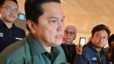 Erick Tohir, Menteri BUMN. Foto: Antara
