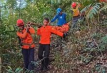Tim SAR mengevakuasi korban dari puncak Gunung Monrolo. Foto Daeng Yusvin