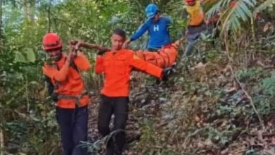 Tim SAR mengevakuasi korban dari puncak Gunung Monrolo. Foto Daeng Yusvin