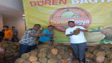 Festival Buah Lokal Durian di kawasan elite Kota Baru Parahyangan. Foto: Istimewa