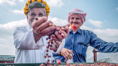 Pengembangan kopi lokal Arab Saudi. Foto: Okezone