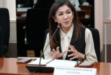 Fifi Alevda Yahya, Dirjen Komunikasi Publik dan Media Kementrian Komdigi. Foto: Antara