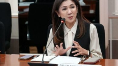 Fifi Alevda Yahya, Dirjen Komunikasi Publik dan Media Kementrian Komdigi. Foto: Antara