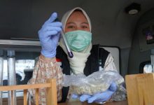 Hasil tes makanan mengandung zat formalin dari Pasar Curug. Foto Antara