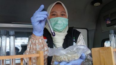Hasil tes makanan mengandung zat formalin dari Pasar Curug. Foto Antara