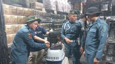 Gakkum Kementrian Kehutanan mengamankan ratusan burung dilindungi dari pedagang asal Lebak. Foto: Antara