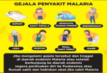 Pamflet gejala penyakit malaria. Foto: Dinkes Banten
