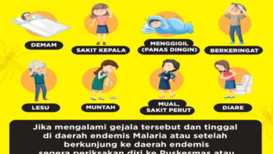 Pamflet gejala penyakit malaria. Foto: Dinkes Banten