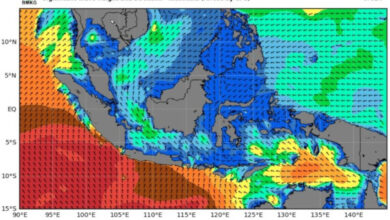 Perkiran gelombang tinggi dari BMKG. Foto: LKBN Antara