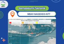 Peringatan potensi tsunami pasa gempa 7,7 M di Desa Mbay, NTT. Foto Antara